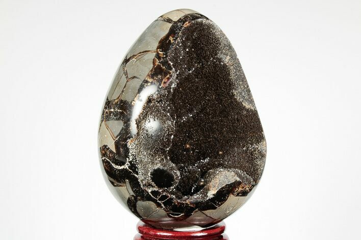 Septarian Dragon Egg Geode - Black Crystals #191506